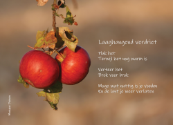 Afbeelding invoegen