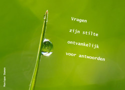 Afbeelding invoegen