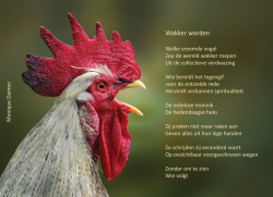 Afbeelding invoegen