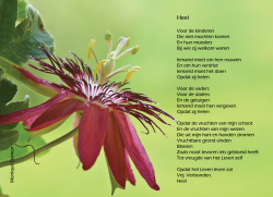 Afbeelding invoegen